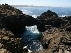 p1190560