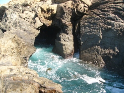 p1190561