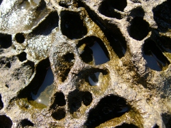 p1190563