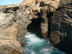 p1190564