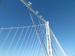 p2090119