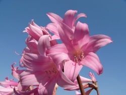 p1260228