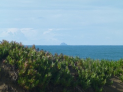p2370657