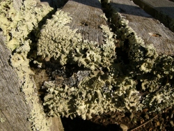 p1200744