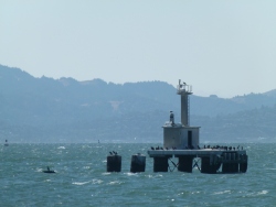 p2370882