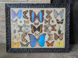 pxl20260305234837422