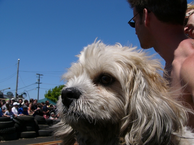 photo