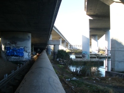 p1150162