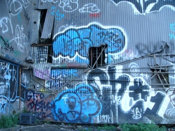 p1150166