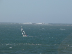 p1270154
