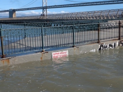 pxl20251107200018035