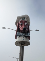 pxl20251107214106453