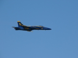 p1340189