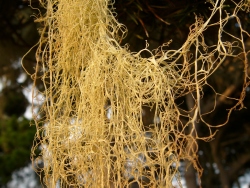 p1130549