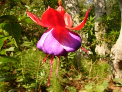 p1130555