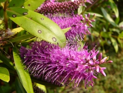 p1130578