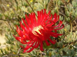p1130579