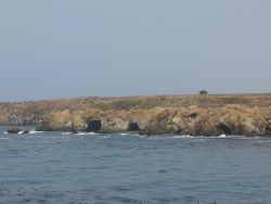 p1130613