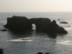 p1130648