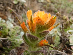 p1190608
