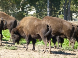 p2030900