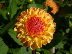 p2030920