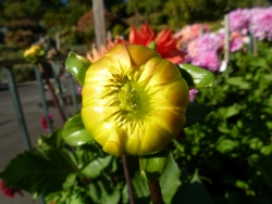 p2030922