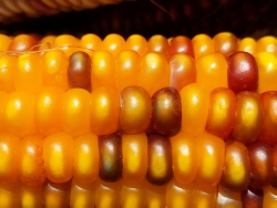 pxl20210907224955260
