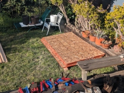 pxl20251208174426245