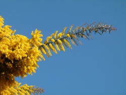 p2300161