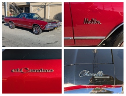 frankencamino
