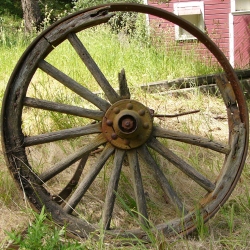 p1110112c
