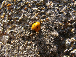 p1110142