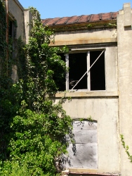 p1110153r