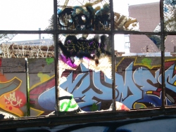 p1110183