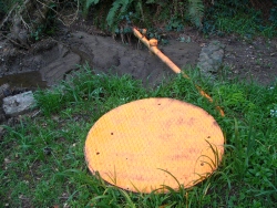 previous