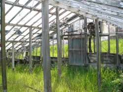 p1170096