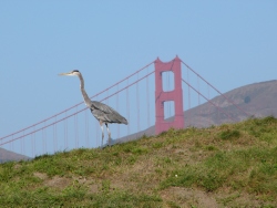 p1070645