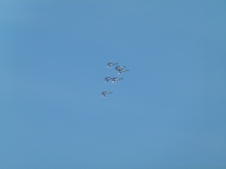p2150322