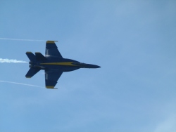 p2330528