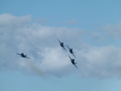 p2330531