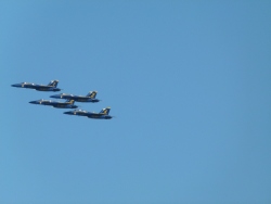 p2330546
