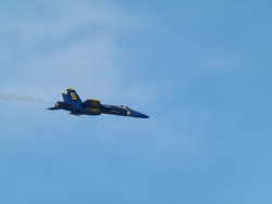 p2330548