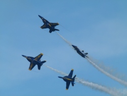 p2330550