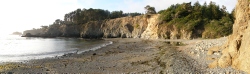 darkgulch
