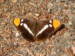 p1130671