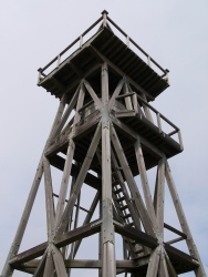 p1130673r