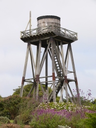 p1130674r