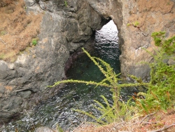 previous