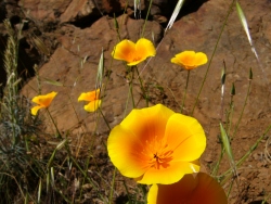 p1210465